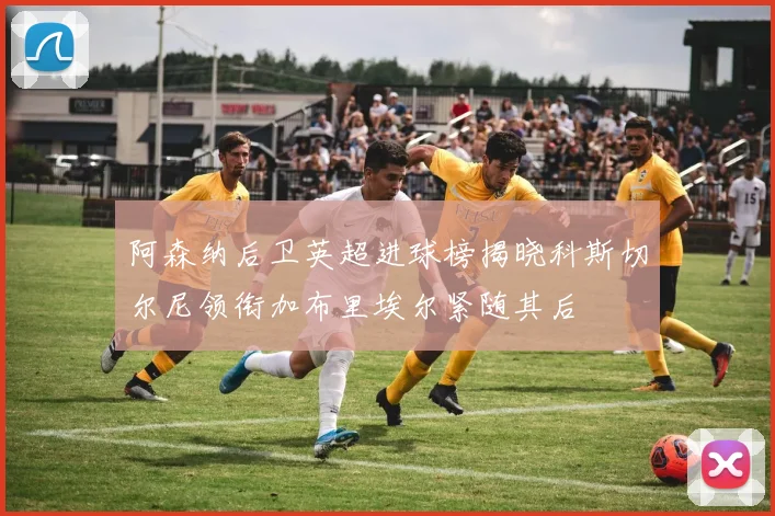 阿森纳后卫英超进球榜揭晓科斯切尔尼领衔加布里埃尔紧随其后