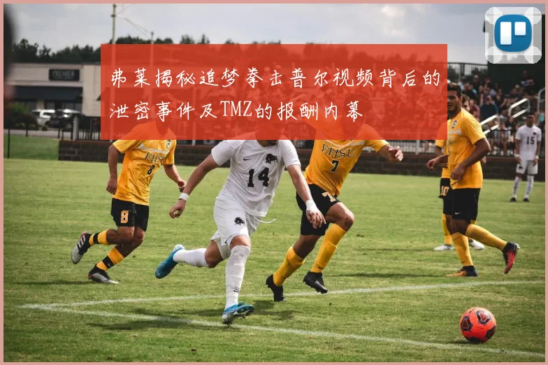 弗莱揭秘追梦拳击普尔视频背后的泄密事件及TMZ的报酬内幕