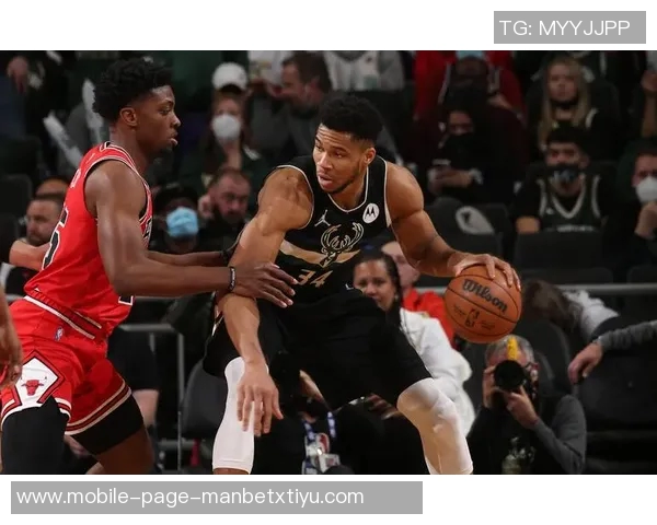 艺术家耗时500小时创作巨幅老詹画作获字母哥德罗赞赞赏